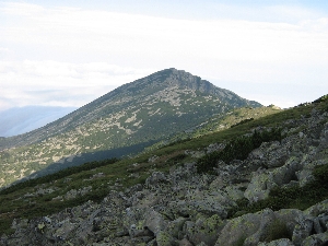 връх Пирин от подножието на Даутов
