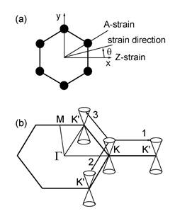 fig1a