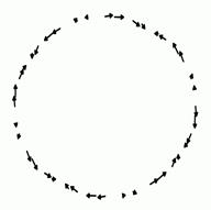 E4-656